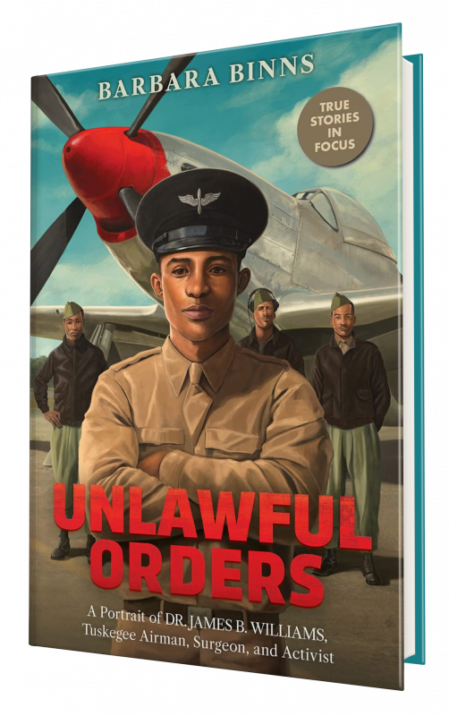 Book Cover: Unlawful Orders by Barbara Binns